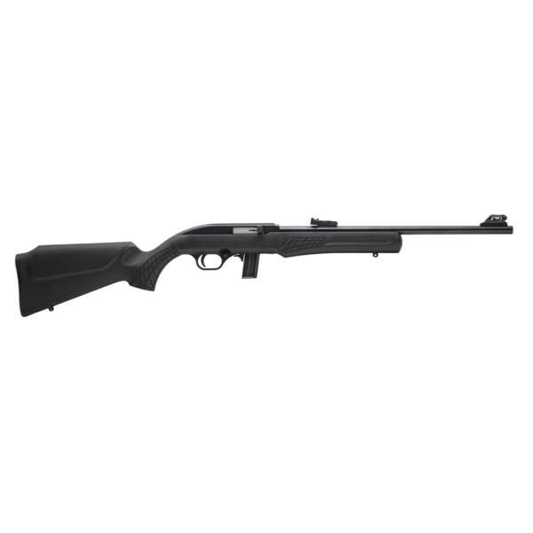 ROSSI - Rossi RS 22LR BK/BK 10 RDS