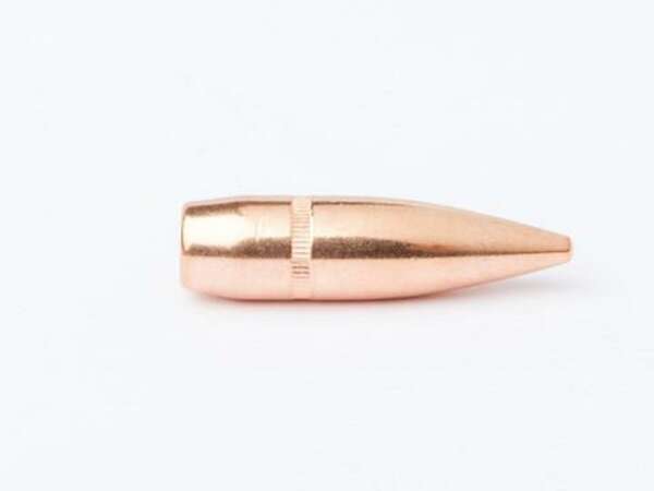 CAMPRO - CAMPRO 30 CALIBER (0.308") BULLETS