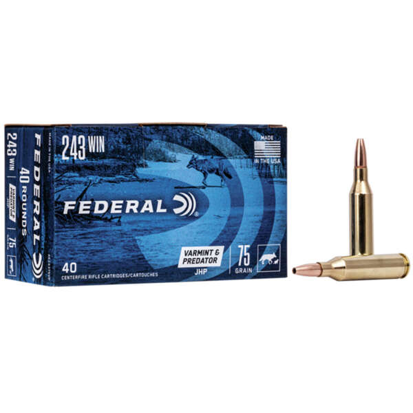 FEDERAL - VARMINT & PREDATOR 243 WINCHESTER RIFLE AMMO