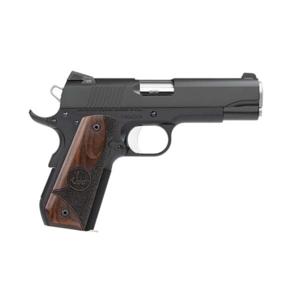 DAN WESSON - GUARDIAN 9MM LUGER SEMI-AUTO HANDGUN