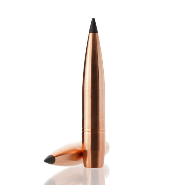 CUTTING EDGE BULLETS - LAZER GEN2 416 CALIBER (0.416") SINGLE FEED RIFLE BULLETS