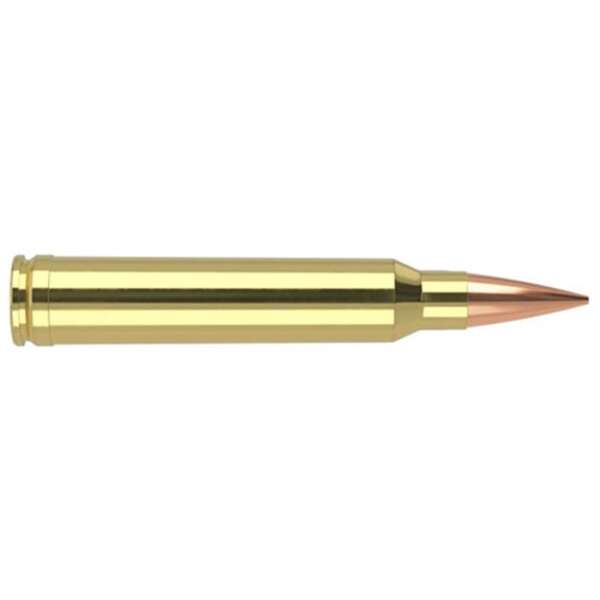 NOSLER, INC. - MATCH GRADE 300 WINCHESTER MAGNUM AMMO