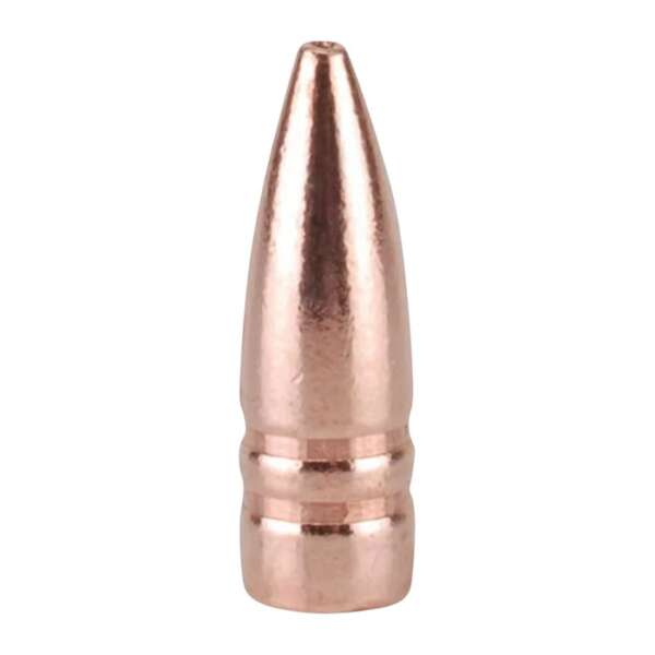 BARNES BULLETS - BARNES TRIPLE SHOCK X 7.62X39MM (0.310') BULLETS