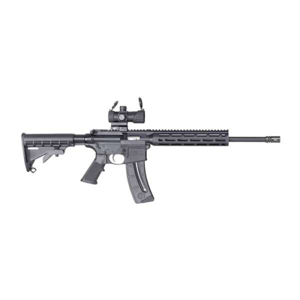 SMITH & WESSON - M&P 15-22 SPORT 22 LONG RIFLE SEMI-AUTO RIFLE WITH RED/GREEN DOT