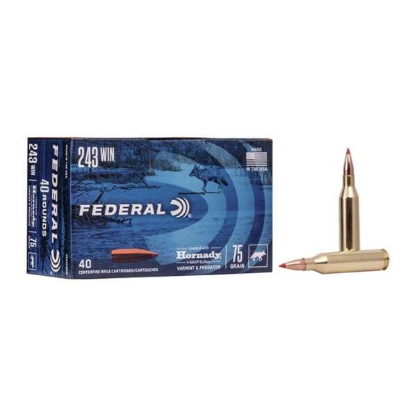 FEDERAL - FEDERAL V-MAX 243 WINCHESTER AMMO