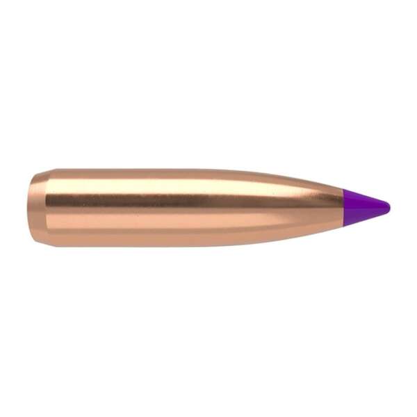 NOSLER, INC. - BALLISTIC TIP HUNTING 6MM (0.243') SPITZER BULLETS