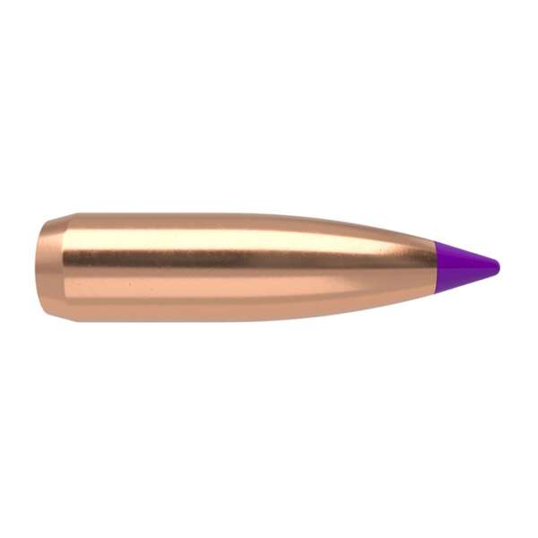 NOSLER, INC. - BALLISTIC TIP VARMINT 6MM (0.243') SPITZER BULLETS